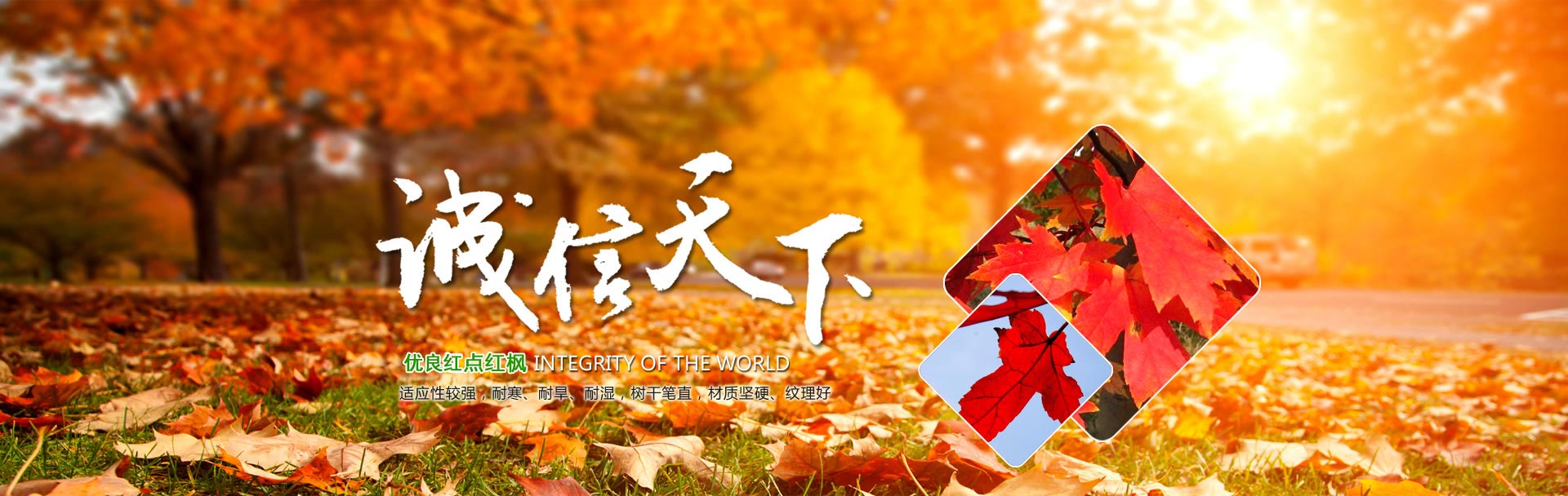 pof熱收縮膜-pof收縮膜袋-pof包裝膜