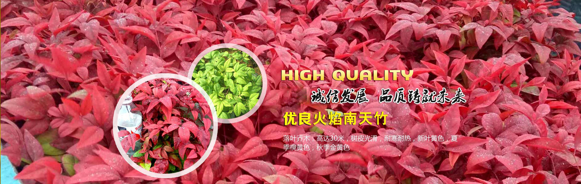 pof熱收縮膜-pof收縮膜袋-pof包裝膜